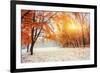 October Mountain Beech Forest with First Winter Snow-standret-Framed Photographic Print