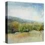 October Mountain-J Austin Jennings-Stretched Canvas