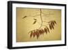 October Muse-David Lorenz Winston-Framed Art Print