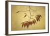 October Muse-David Lorenz Winston-Framed Art Print