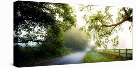 October’s Fog-Adelino Gonçalves-Stretched Canvas