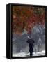 October Snow-Jacqueline Larma-Framed Stretched Canvas