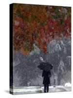 October Snow-Jacqueline Larma-Stretched Canvas