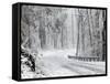 October Snow-Rich Schultz-Framed Stretched Canvas