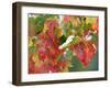 October Snow-Michael Dwyer-Framed Premium Photographic Print