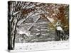 October Snow-Pat Wellenbach-Stretched Canvas