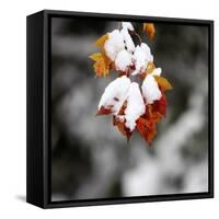 October Snow-Pat Wellenbach-Framed Stretched Canvas