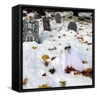 October Snow-Jim Cole-Framed Stretched Canvas