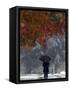 October Snow-Jacqueline Larma-Framed Stretched Canvas