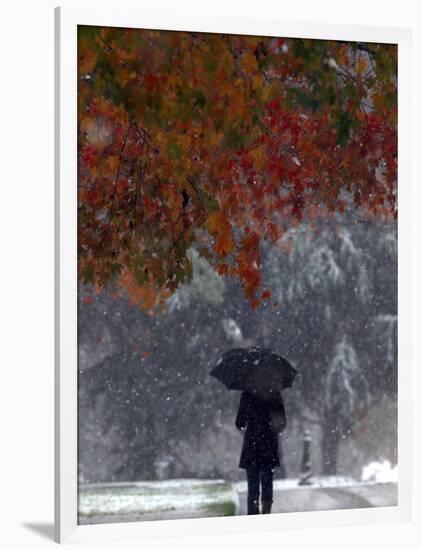 October Snow-Jacqueline Larma-Framed Photographic Print