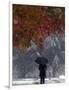 October Snow-Jacqueline Larma-Framed Photographic Print