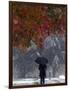 October Snow-Jacqueline Larma-Framed Photographic Print