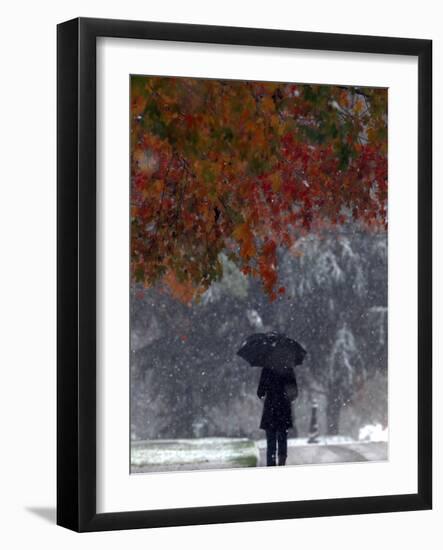 October Snow-Jacqueline Larma-Framed Photographic Print