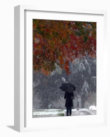 October Snow-Jacqueline Larma-Framed Photographic Print
