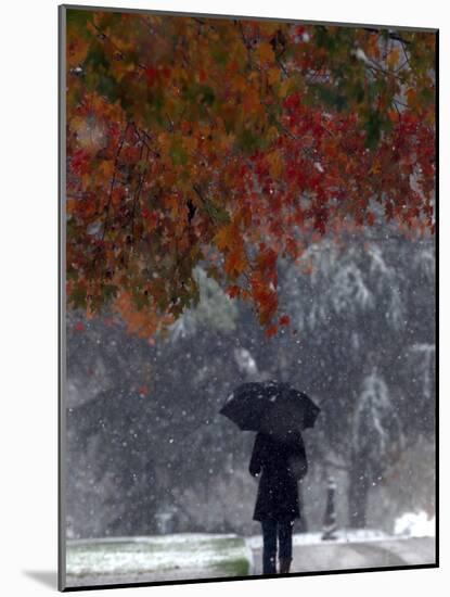 October Snow-Jacqueline Larma-Mounted Photographic Print