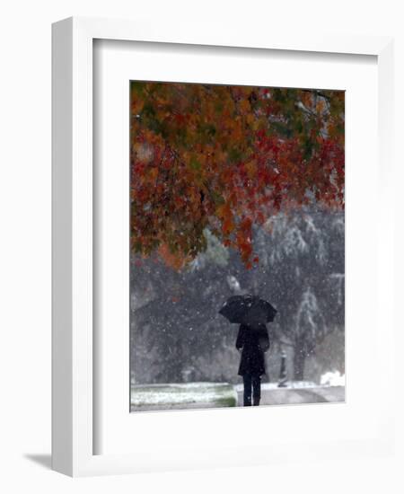 October Snow-Jacqueline Larma-Framed Photographic Print