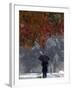 October Snow-Jacqueline Larma-Framed Photographic Print