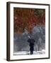 October Snow-Jacqueline Larma-Framed Photographic Print