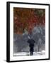 October Snow-Jacqueline Larma-Framed Photographic Print