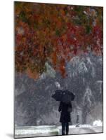 October Snow-Jacqueline Larma-Mounted Photographic Print