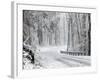 October Snow-Rich Schultz-Framed Photographic Print