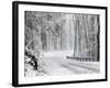 October Snow-Rich Schultz-Framed Photographic Print