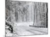 October Snow-Rich Schultz-Mounted Photographic Print
