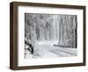 October Snow-Rich Schultz-Framed Photographic Print