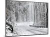 October Snow-Rich Schultz-Mounted Photographic Print