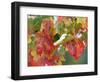 October Snow-Michael Dwyer-Framed Photographic Print