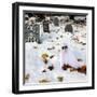 October Snow-Jim Cole-Framed Photographic Print
