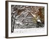 October Snow-Pat Wellenbach-Framed Photographic Print