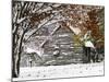 October Snow-Pat Wellenbach-Mounted Photographic Print