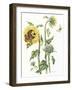October Sunflower-Janneke Brinkman-Salentijn-Framed Giclee Print