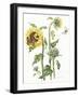 October Sunflower-Janneke Brinkman-Salentijn-Framed Giclee Print