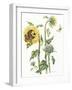 October Sunflower-Janneke Brinkman-Salentijn-Framed Giclee Print