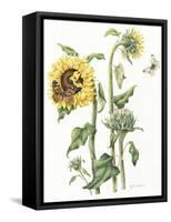 October Sunflower-Janneke Brinkman-Salentijn-Framed Stretched Canvas