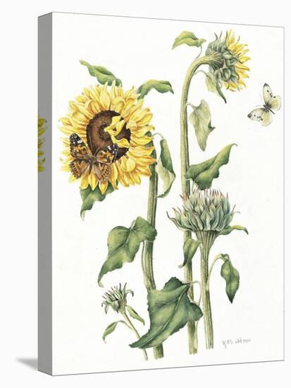 October Sunflower-Janneke Brinkman-Salentijn-Stretched Canvas