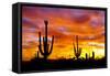 October Sunset-Douglas Taylor-Framed Stretched Canvas