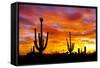 October Sunset-Douglas Taylor-Framed Stretched Canvas