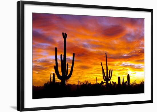 October Sunset-Douglas Taylor-Framed Premium Photographic Print