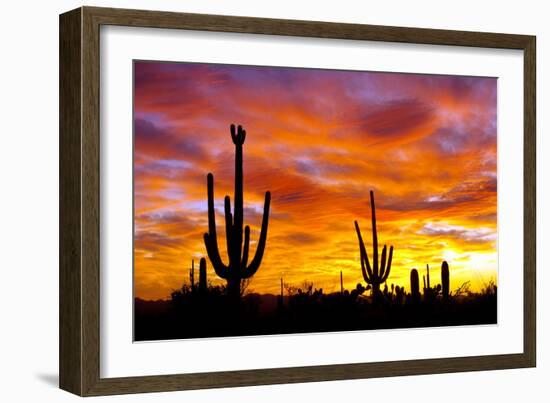 October Sunset-Douglas Taylor-Framed Photographic Print