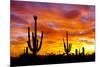 October Sunset-Douglas Taylor-Mounted Photographic Print