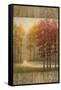October Trees I-Michael Marcon-Framed Stretched Canvas
