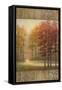 October Trees I-Michael Marcon-Framed Stretched Canvas