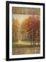 October Trees I-Michael Marcon-Framed Art Print