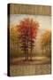 October Trees II-Michael Marcon-Stretched Canvas