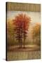 October Trees II-Michael Marcon-Stretched Canvas