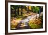 October Walk-Ursula Abresch-Framed Photographic Print