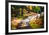 October Walk-Ursula Abresch-Framed Photographic Print